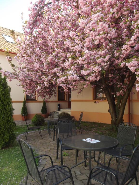 Pannon Hotel Bejelentkezes 20 Oraig, Check-In Until 20 O'Clock, Einchecken Bis 20 Uhr Mohács Eksteriør billede